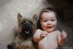happy_faces dog and baby