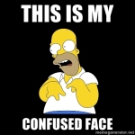 Homer Confused